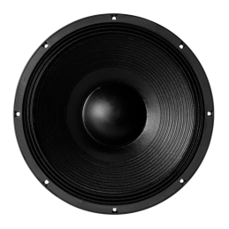 	Hauts parleurs basse fréquence - B&C Speakers - 15TBX100