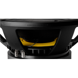 	Hauts parleurs basse fréquence - B&C Speakers - 15TBX100