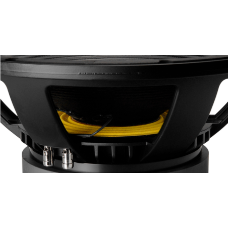 Hauts parleurs basse fréquence - B&C Speakers - 15TBX100