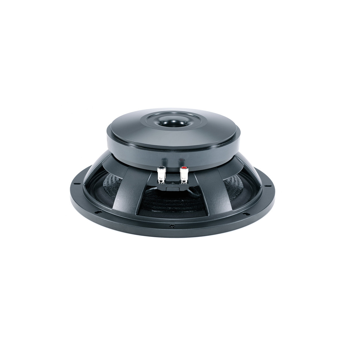 Hauts parleurs basse fréquence - B&C Speakers - 12 PS 100