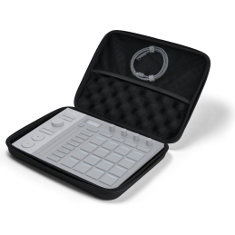 	Accessoires home studio - Pioneer DJ AlphaTheta - DJC-SLAB BAG