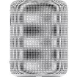 	Enceintes connectées - WiiM - WiiM Sound (White)