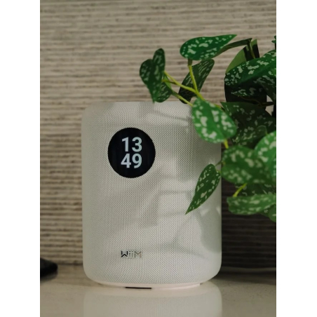 Enceintes connectées - WiiM - Sound Display (White)