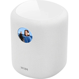 Enceintes connectées - WiiM - Sound Display (White)