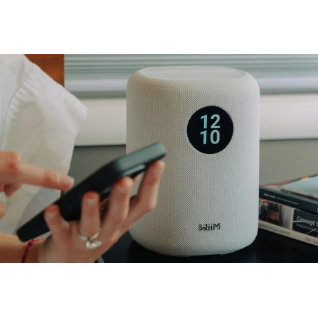 Enceintes connectées - WiiM - Sound Display (White)