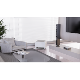 	Enceintes connectées - WiiM - WiiM Sub Pro White