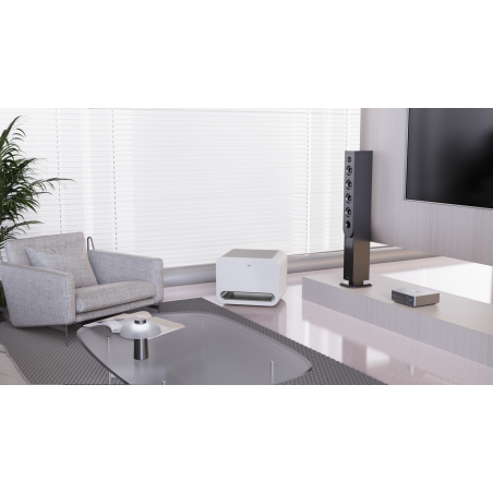 Enceintes connectées - WiiM - WiiM Sub Pro White