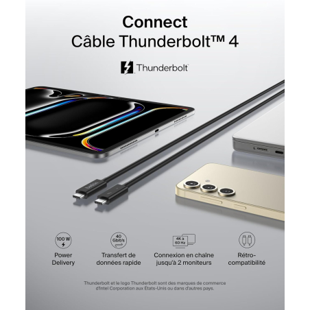 Câbles USB C / USB C - Belkin - CABLE THUNDERBOLT 4 (1m)