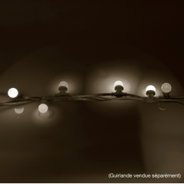 	Ampoules à LED - Mac Mah - LAMP-20WW