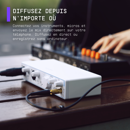 Cartes son - Arturia - MiniFuse 2 OTG