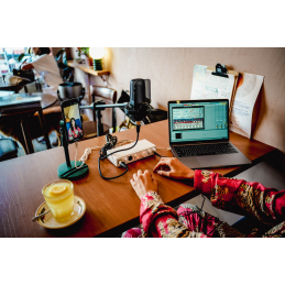 	Cartes son - Arturia - MiniFuse 2 OTG