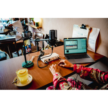 Cartes son - Arturia - MiniFuse 2 OTG