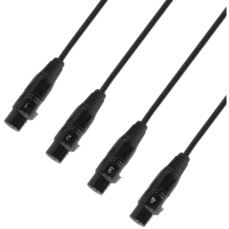 Câbles DMX éclairage XLR 3 points - Adam Hall - 4 STAR CATBOX XF3 (0.3m)