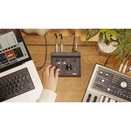 Cartes son - Korg - microAUDIO 22