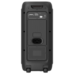 	Enceintes Bluetooth Portables - Ibiza Sound - COLUMBA800