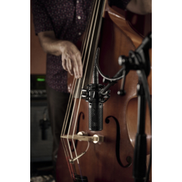 	Micros studio - Shure - KSM44MP