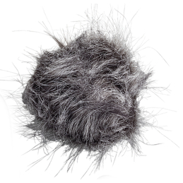 	Packs Home Studio - Zoom - Pack H4essential + bonnette...