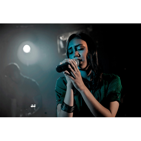 Emetteurs micros sans fil - Shure - BLX2/PG58 H8E