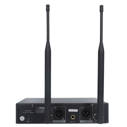 	Micros chant sans fil - Definitive Audio - TD 200 HR MH