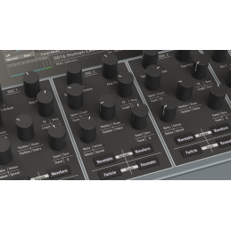 	Synthé numériques - Waldorf - Iridium Desktop MK2