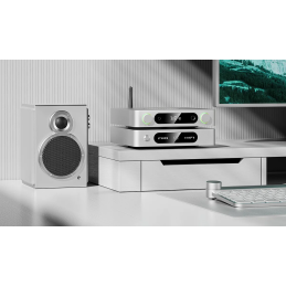 	Ampli casques - FiiO - K13 R2R Silver