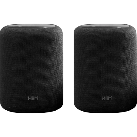 Enceintes connectées - WiiM - WiiM Sound Lite Noir (La...