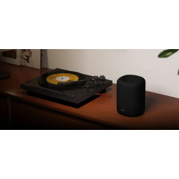 	Enceintes connectées - WiiM - WiiM Sound Lite Noir (La...