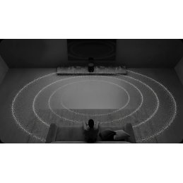 	Enceintes connectées - WiiM - WiiM Sound Lite Noir (La...