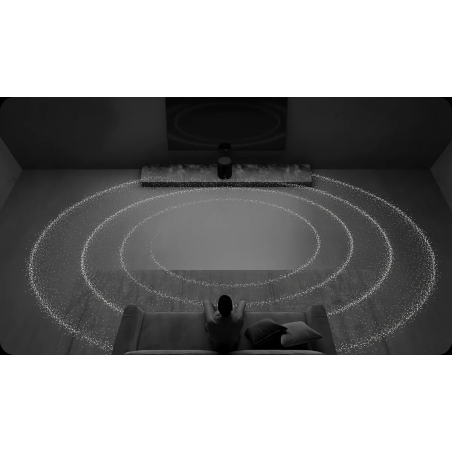 Enceintes connectées - WiiM - WiiM Sound Lite Noir (La...