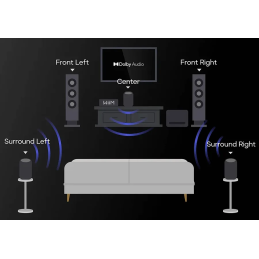 	Enceintes connectées - WiiM - WiiM Sound Lite Noir (La...