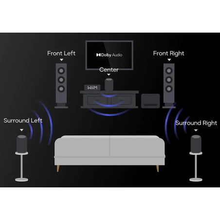 Enceintes connectées - WiiM - WiiM Sound Lite Noir (La...
