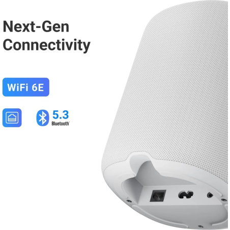 Enceintes connectées - WiiM - WiiM Sound Lite (White)