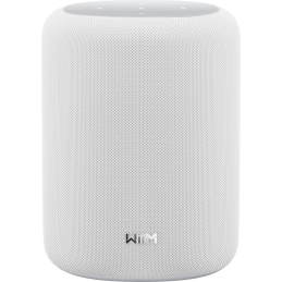 Enceintes connectées - WiiM - WiiM Sound Lite (White)