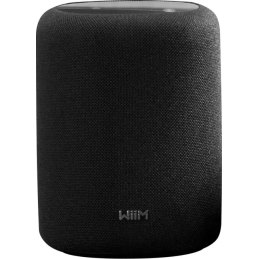 Enceintes connectées - WiiM - WiiM Sound Lite (Black)