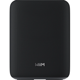 	Enceintes connectées - WiiM - WiiM Sound Lite (Black)