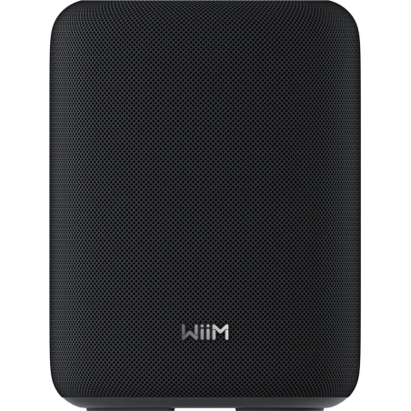Enceintes connectées - WiiM - WiiM Sound Lite (Black)