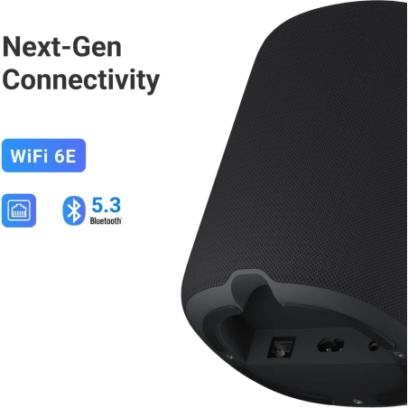 Enceintes connectées - WiiM - WiiM Sound Lite (Black)