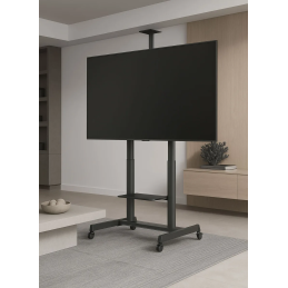 	Accessoires vidéo - NorStone - Vision Max