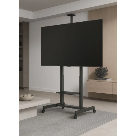 Accessoires vidéo - NorStone - Vision Max
