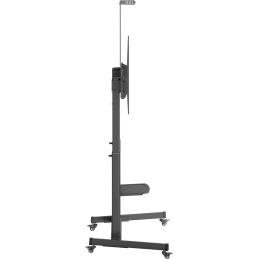 	Accessoires vidéo - NorStone - Vision Max