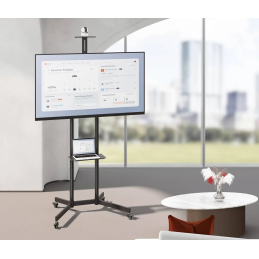 	Accessoires vidéo - NorStone - Vision One