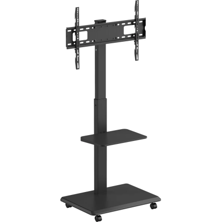Accessoires vidéo - NorStone - Vision Plus