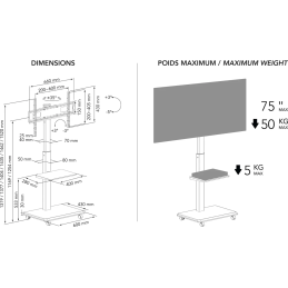 	Accessoires vidéo - NorStone - Vision Plus