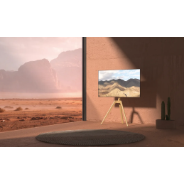 	Accessoires vidéo - NorStone - Vision Wood