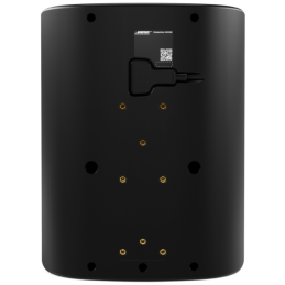 	Enceintes murales - Bose Professional - DesignMax DM12SE Black