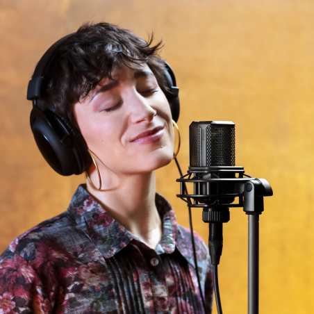 Micros studio - Lewitt - LCT 440 PURE stereo pair