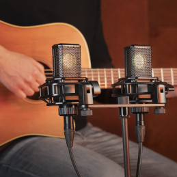 	Micros studio - Lewitt - LCT 440 PURE stereo pair
