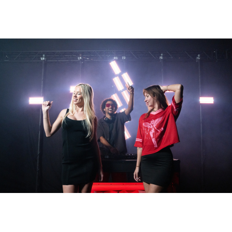 Projecteurs Blinder - Chauvet DJ - SHOCKER PANEL FX IP