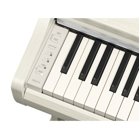 Pianos numériques meubles - Yamaha - YDP-166 WB Arius (Blanc crème)