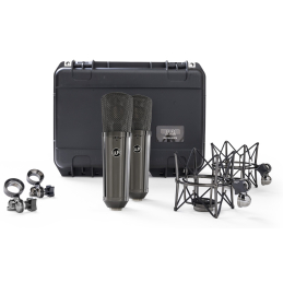 Micros studio - Warm Audio - WA-87 R2 TS